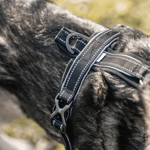Ham pentru câini Y-Harness Sprenger