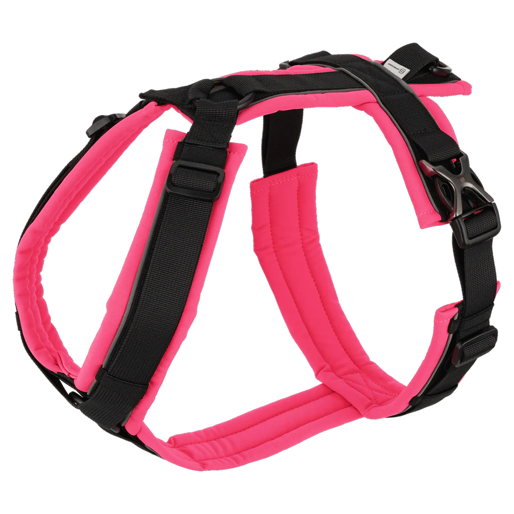Y-Harness 2.0 kutyahám