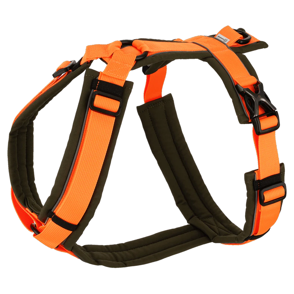 Y-Harness 2.0 kutyahám