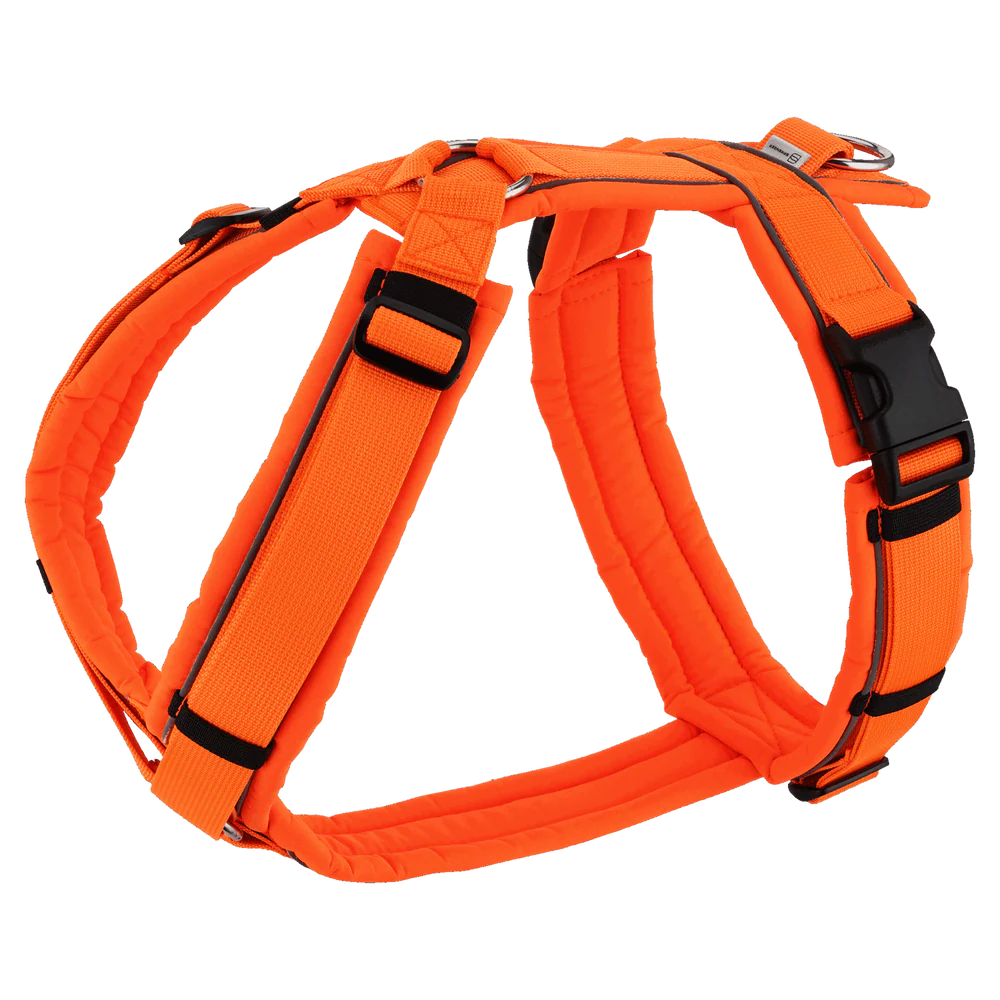 Y-Harness 2.0 kutyahám