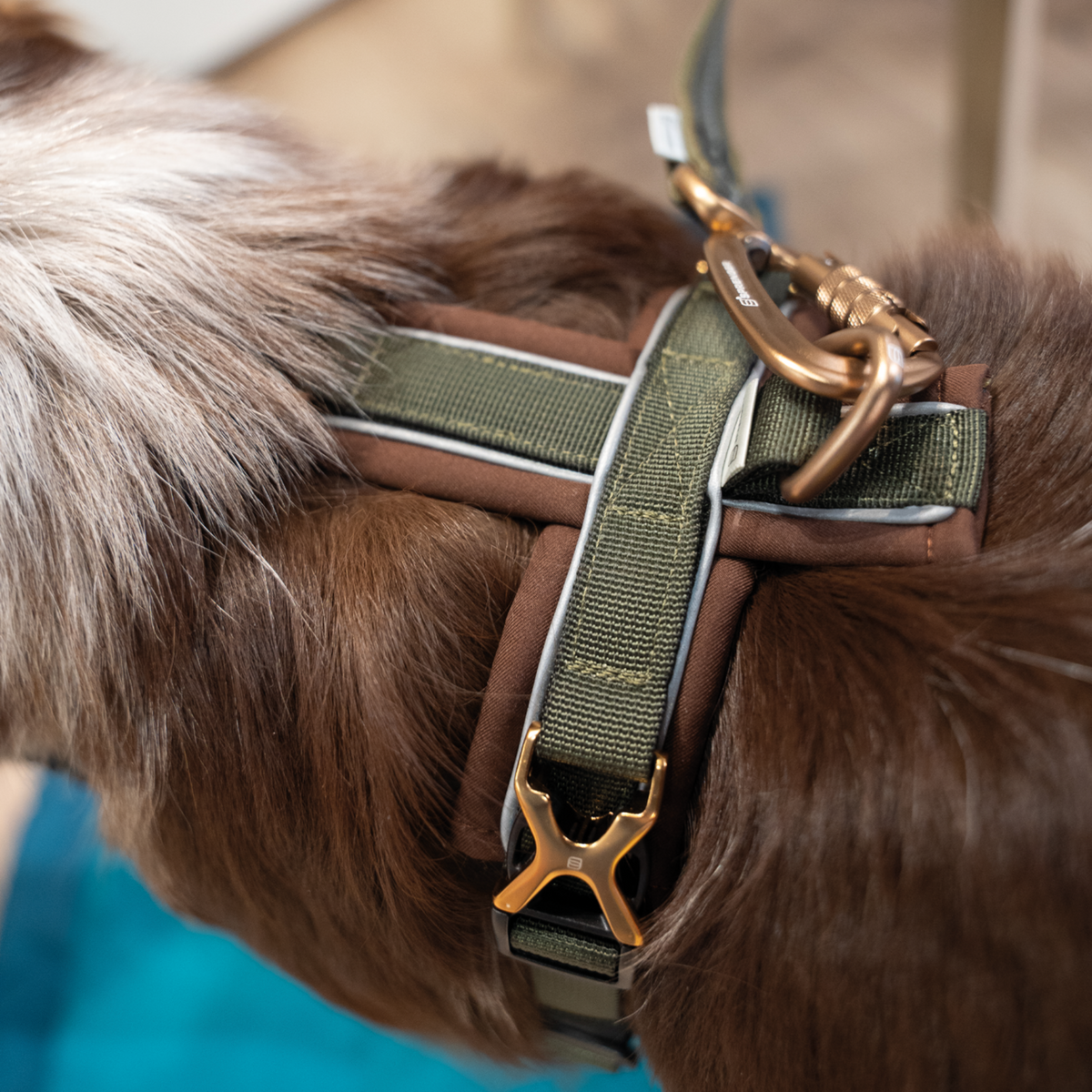 Ham Sprenger Y-Harness 2.0 pentru câini