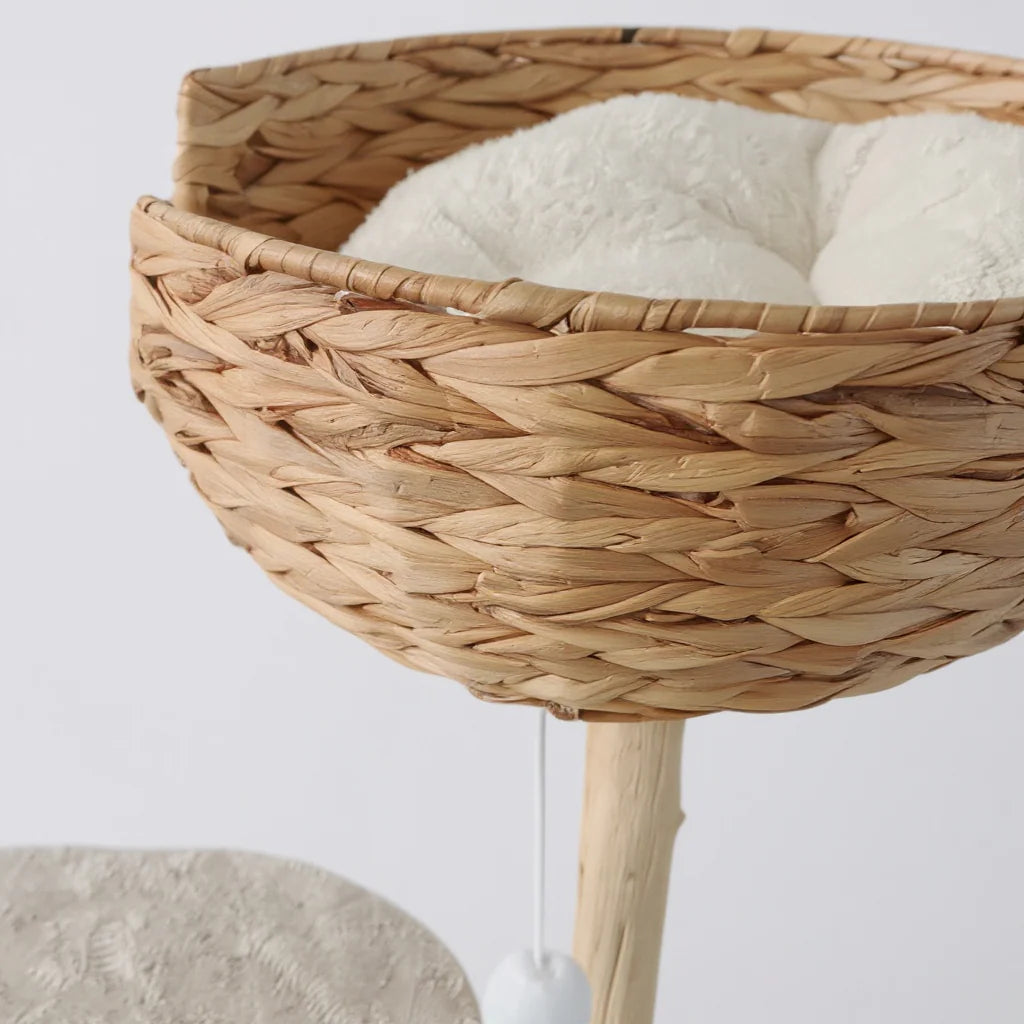WOVEN SINGLE NEST