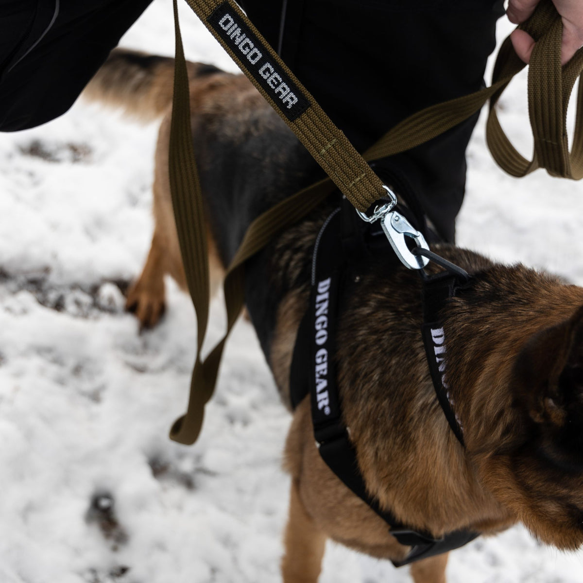 Dingo Gear – Working Dog Harness with COBRA System