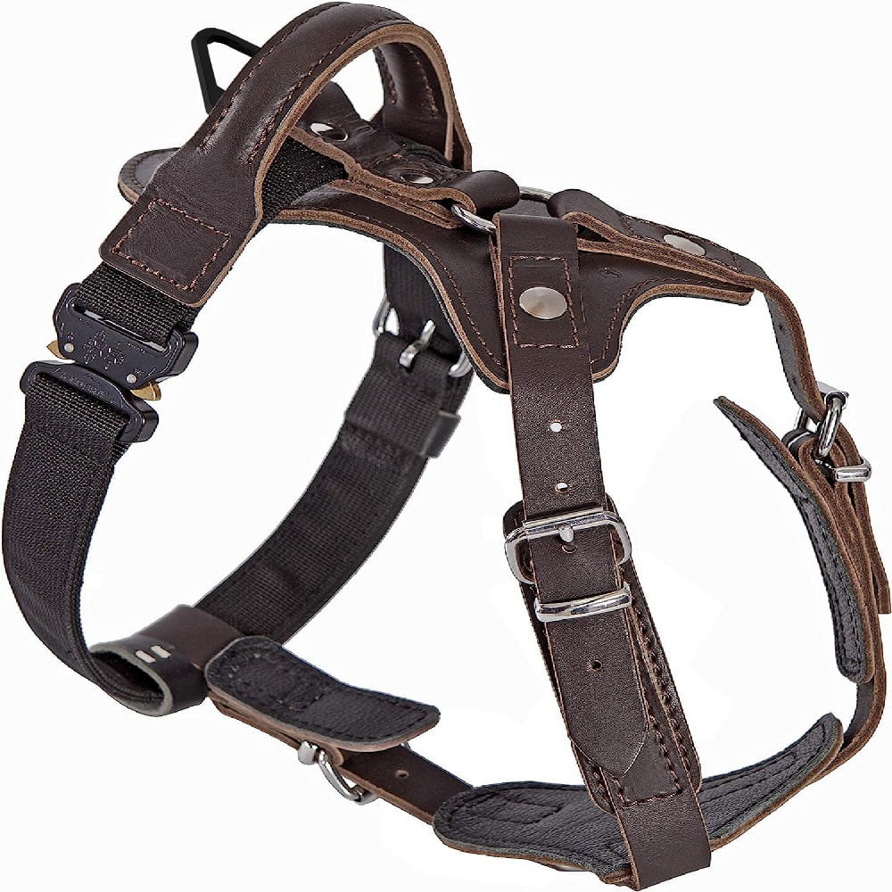 Dingo Gear – Ham profesional din piele cu cataramă COBRA – rezistență, siguranță, fiabilitate