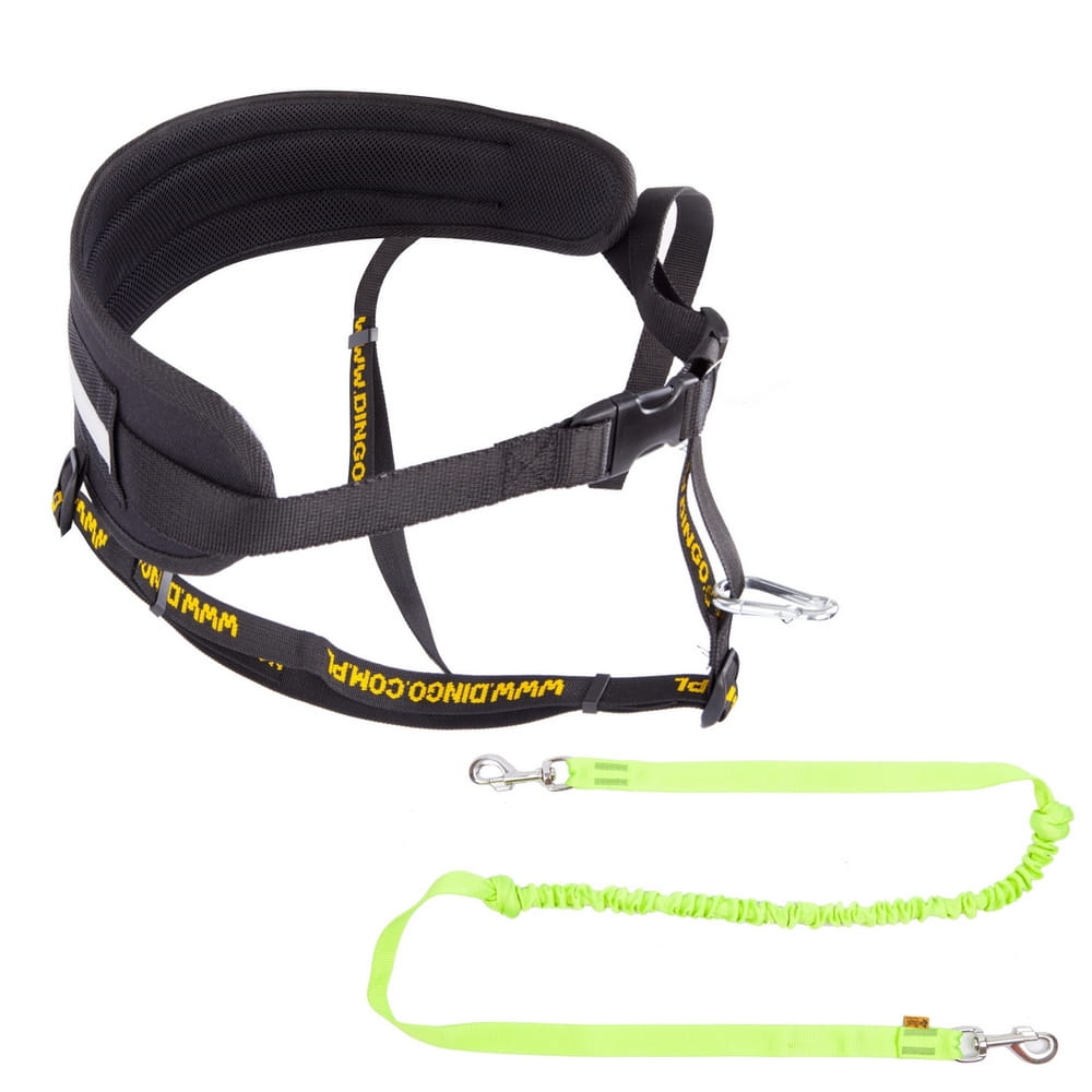 Set pentru alergare PROFI – centură + lesă cu două carabiniere