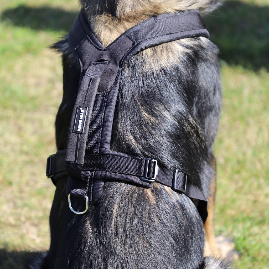 Dingo Gear – Ham universal ultra-ușor pentru câini