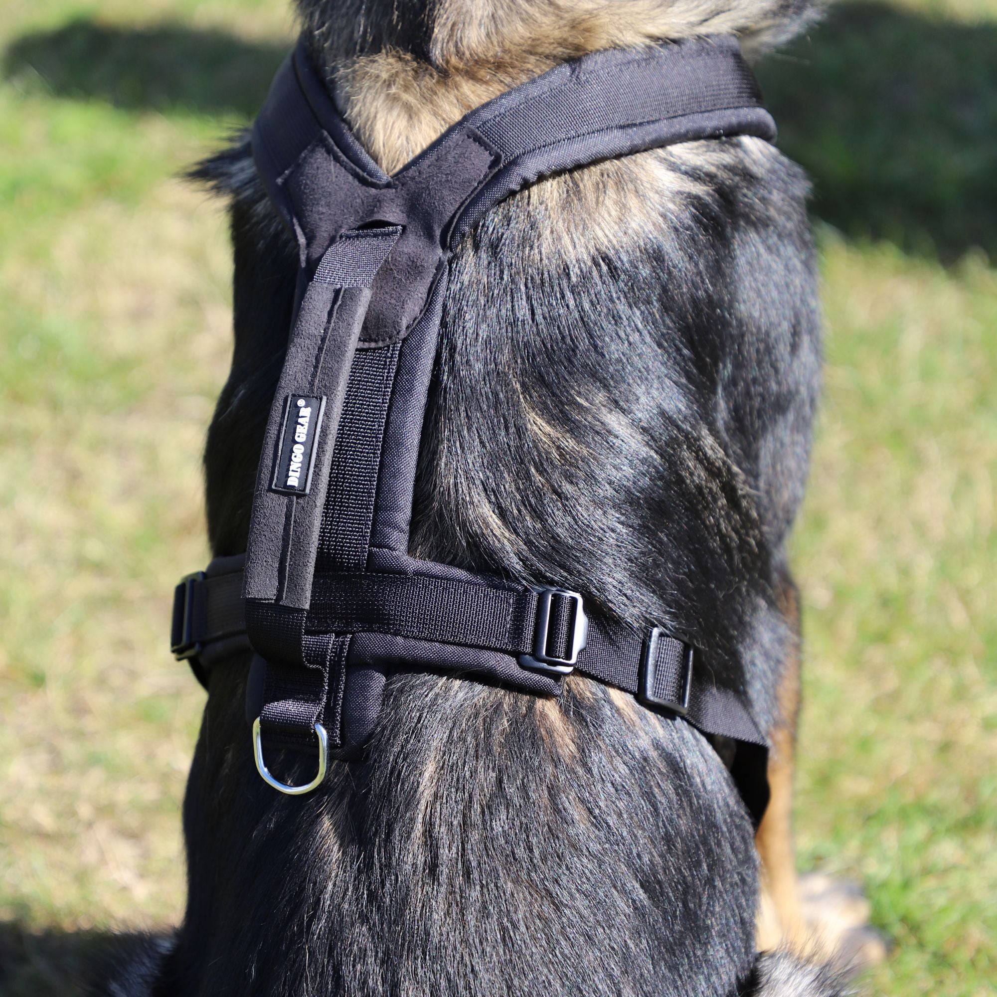 Dingo Gear – Ham universal ultra-ușor pentru câini
