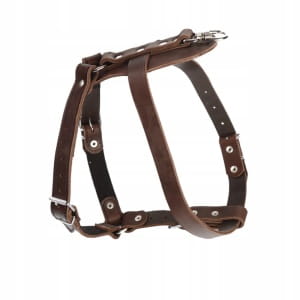 Dog Tracking Harness