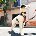 Ham GUARD CITY CHIAPAS