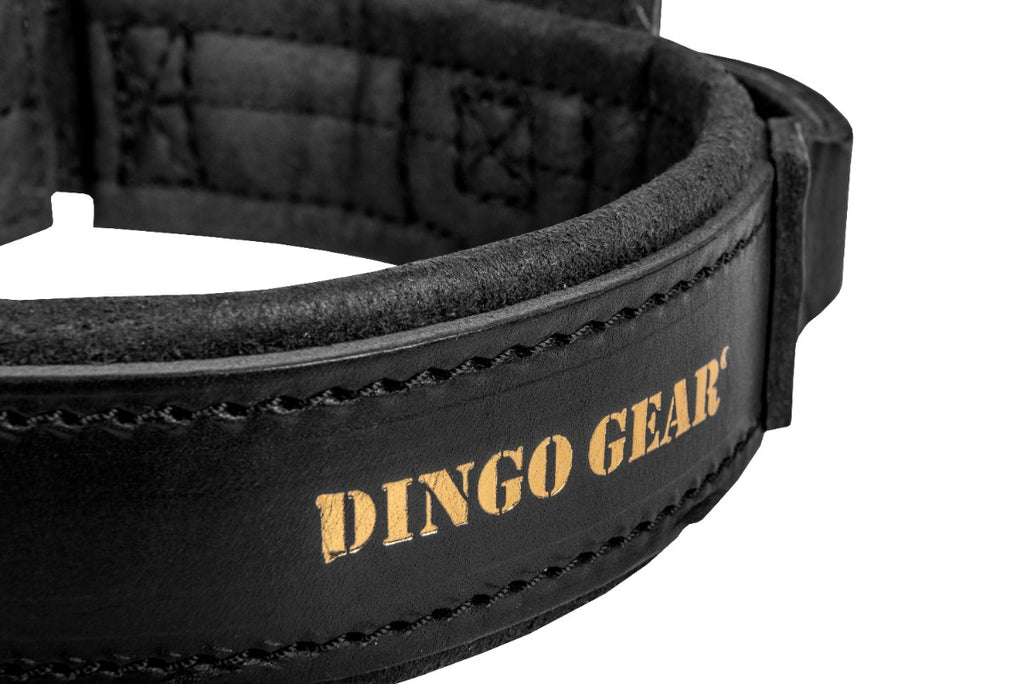 Dingo Gear – DRAGO nyakörv – K9 bőr nyakörv fogantyúval professzionális kiképzéshez
