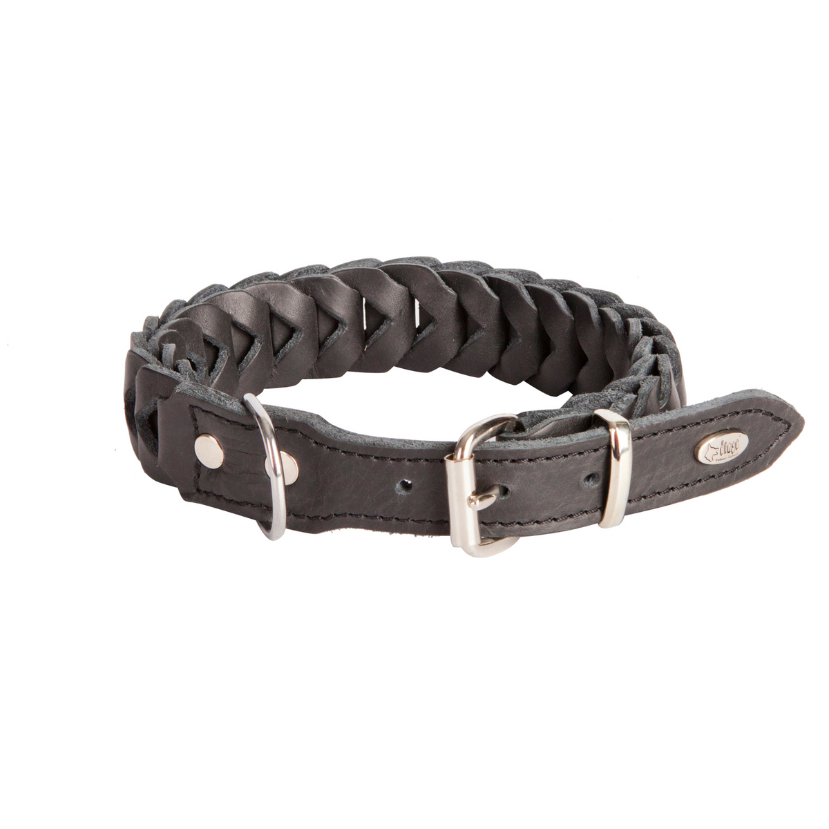 Shell Dog Collar
