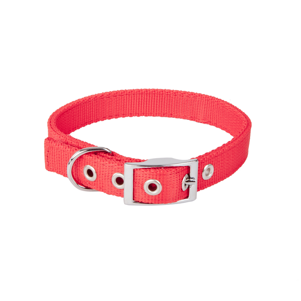 Zgardă pentru câine extra tape