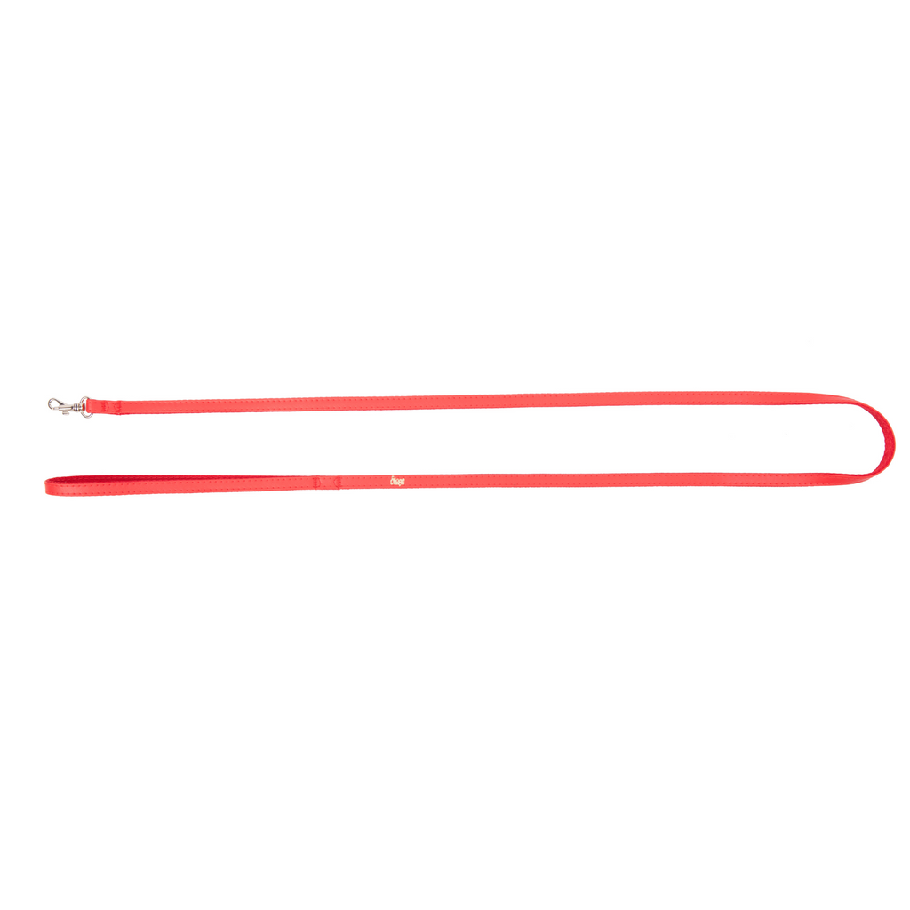 Egyszerű póráz kutyáknak Basic