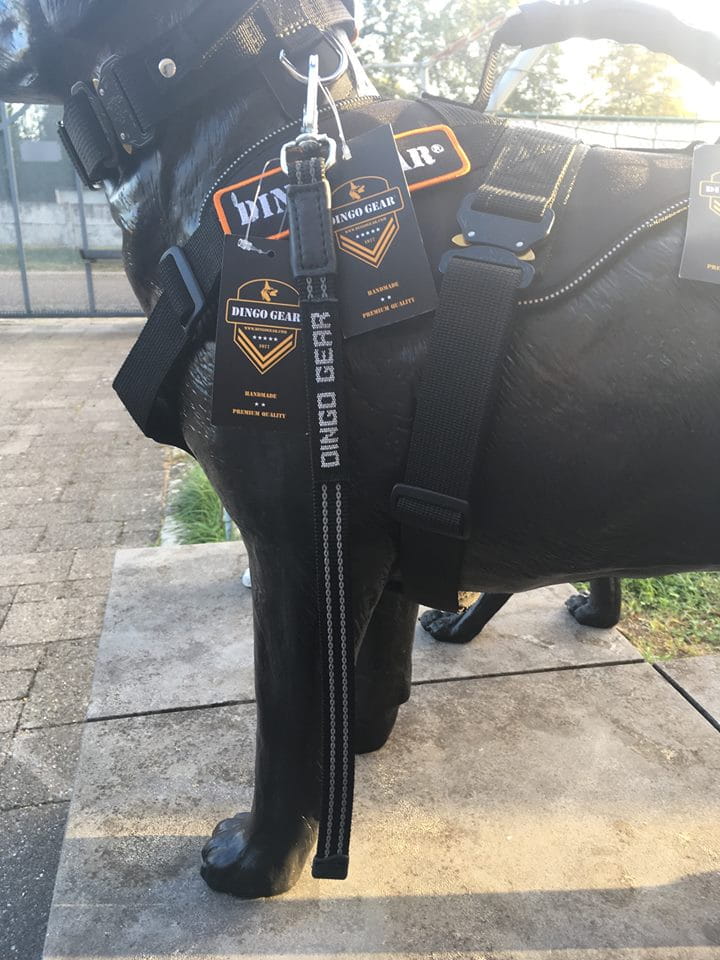 Dingo Gear – Egyszerű póráz gumírozott fogantyúval