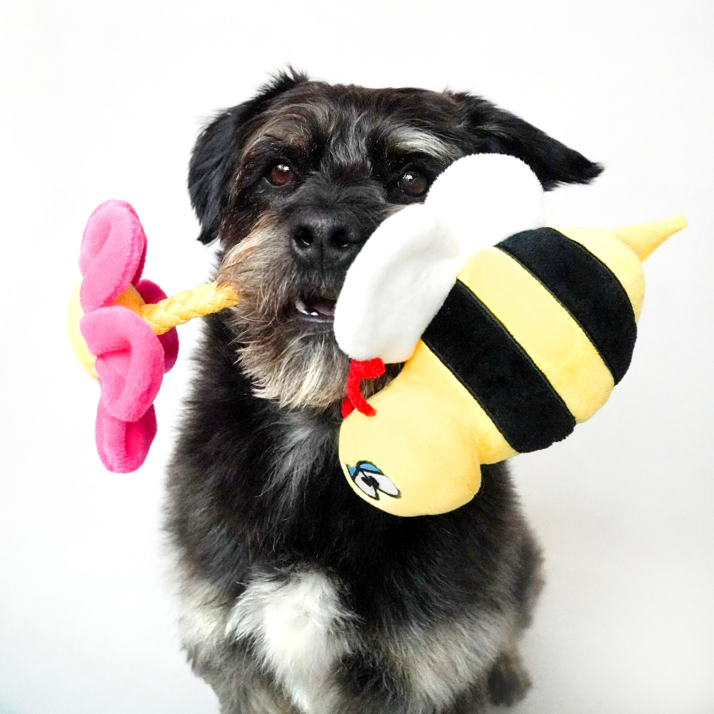 Jucărie senzorială pentru câine Beti the Bee