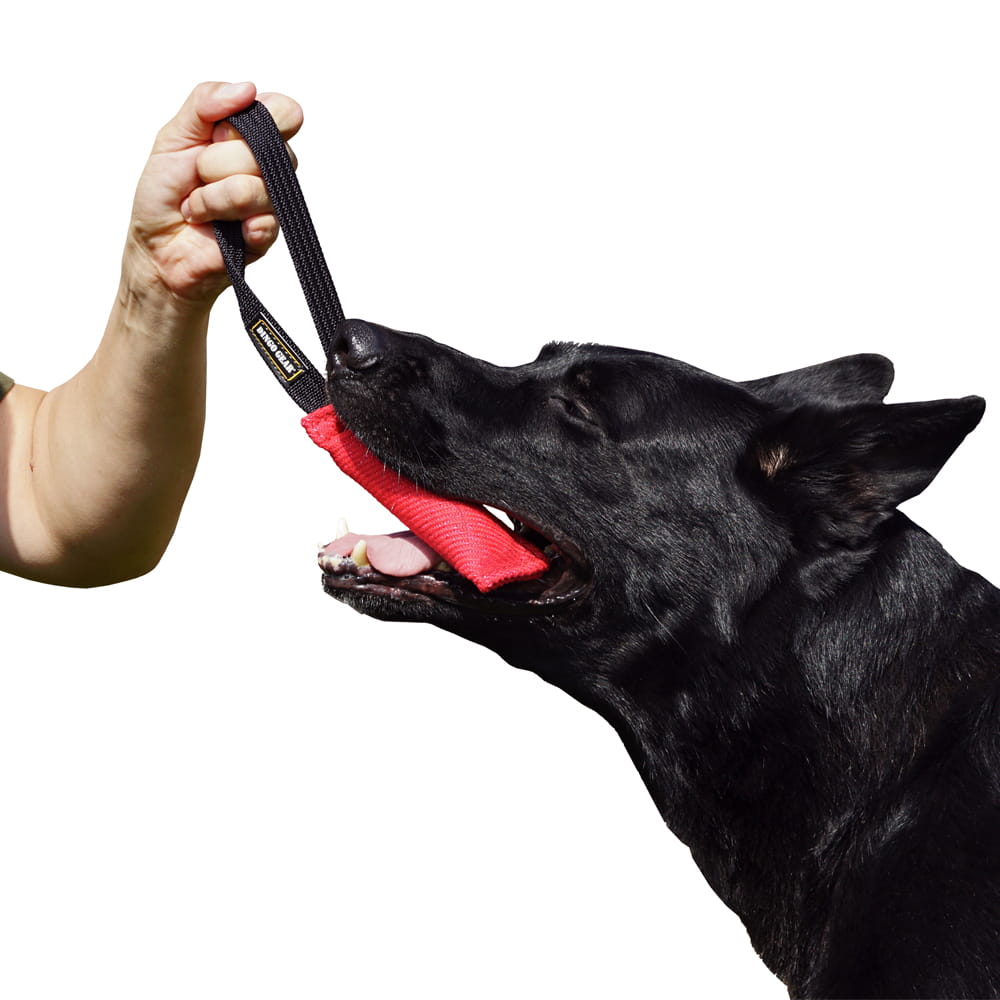 Dingo Gear – Nylcot húzójáték kutyáknak, egy fogantyúval