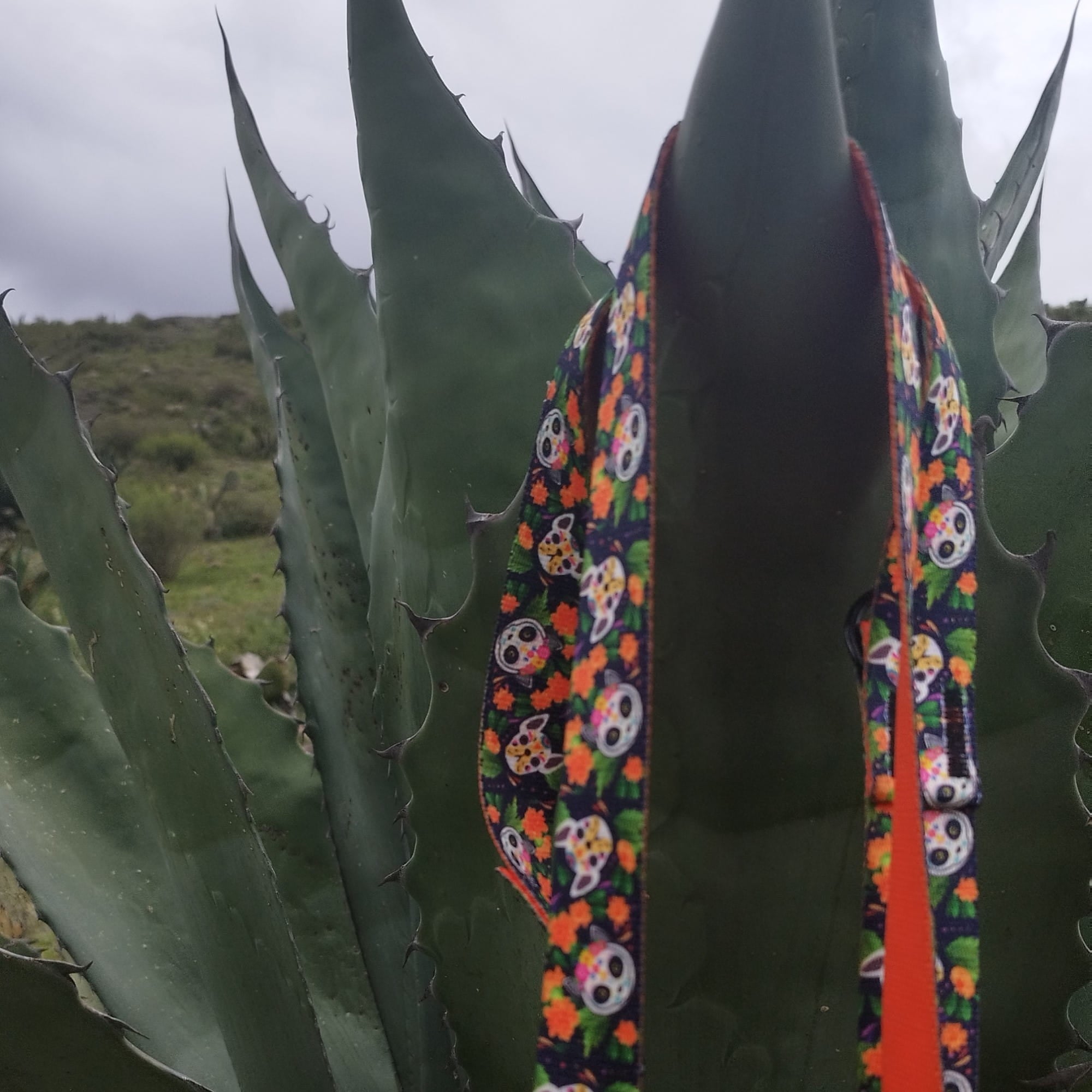 Lesă reglabilă City Chiapas