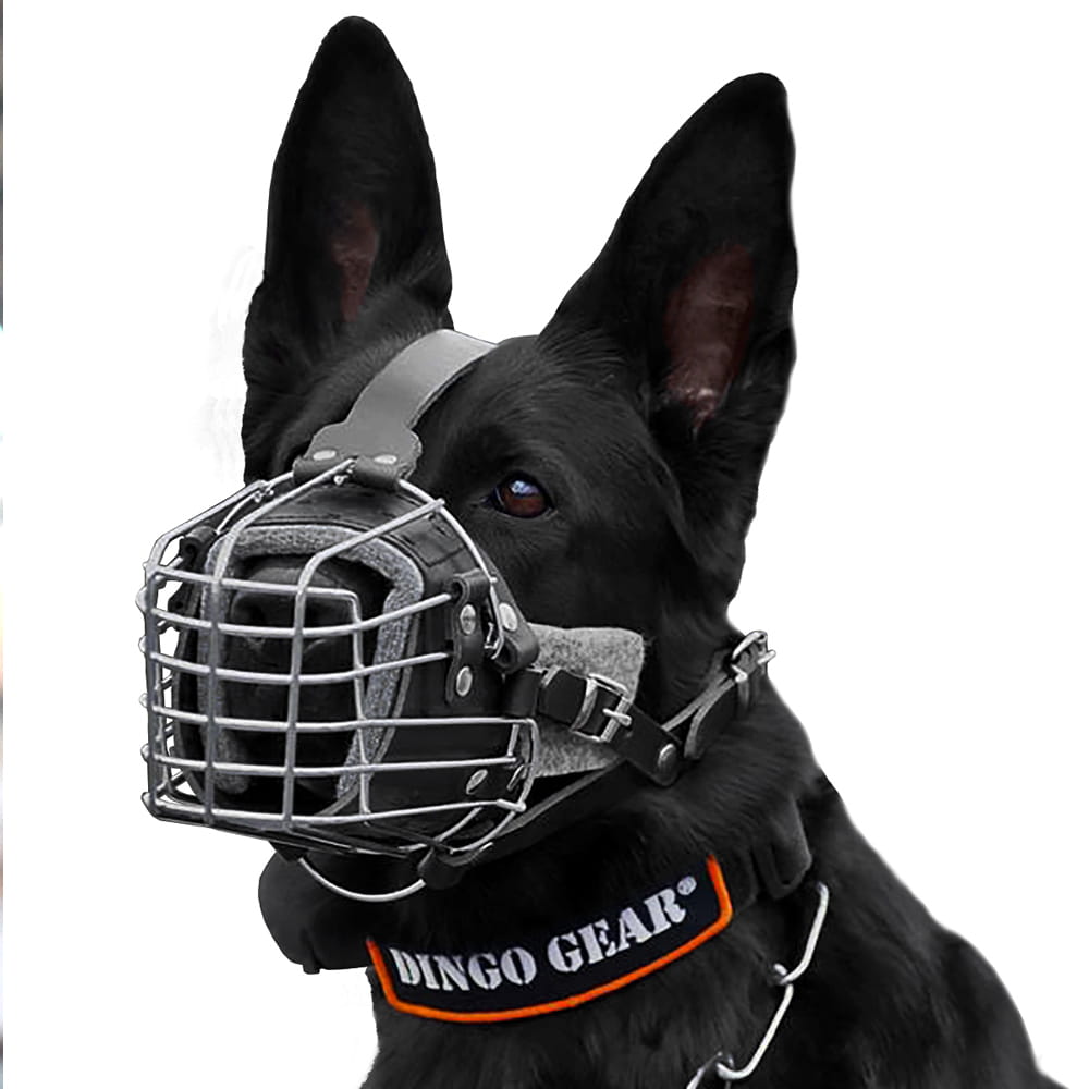 Dingo Gear – Botniță de luptă și antrenament – pentru câini de serviciu și de lucru