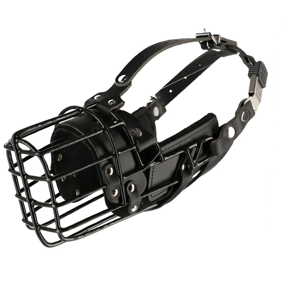 Dingo Gear K-9 – fiziológiai szájkosár belga malinois számára