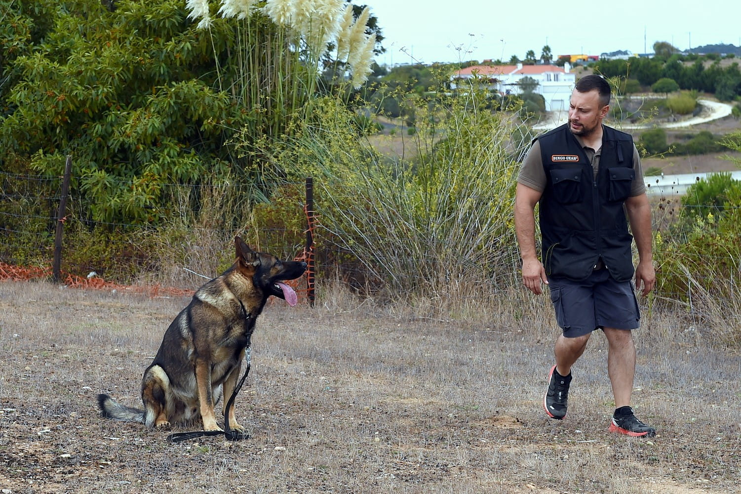 Dingo Gear – vestă de antrenament canin