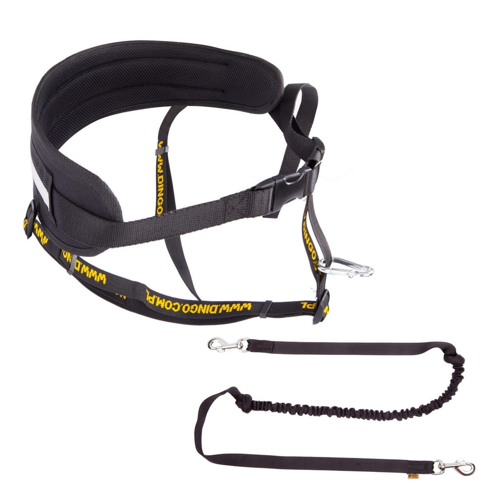 Professional Running Set – Belt + Leash