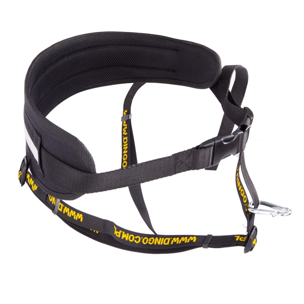 Professional Running Set – Belt + Leash