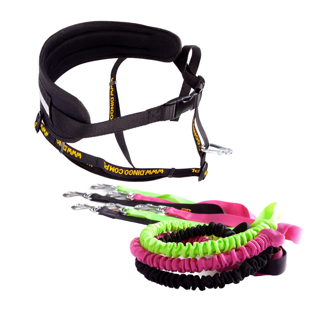 Professional Running Set – Belt + Leash
