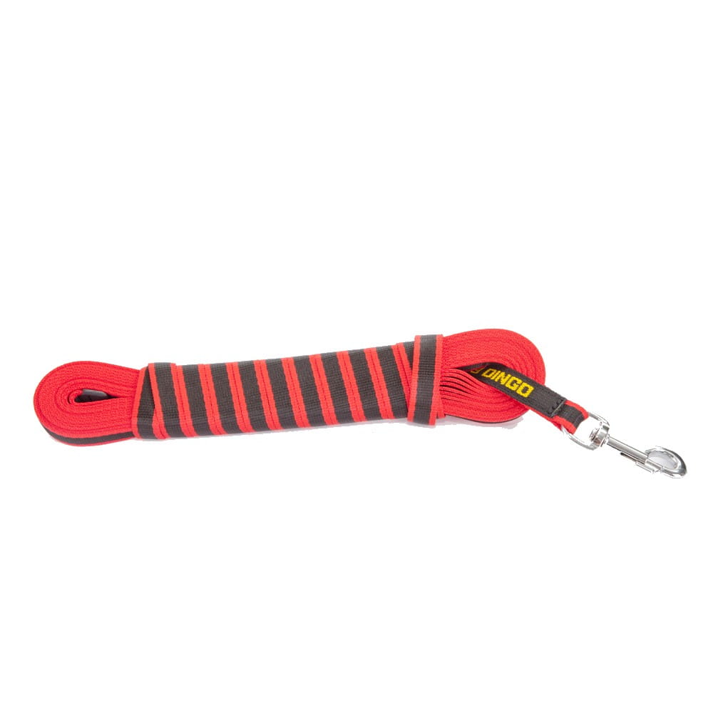 Dingo Gear – Lesă de antrenament din bandă de polipropilenă, fără mâner – 5 m / 10,5 m