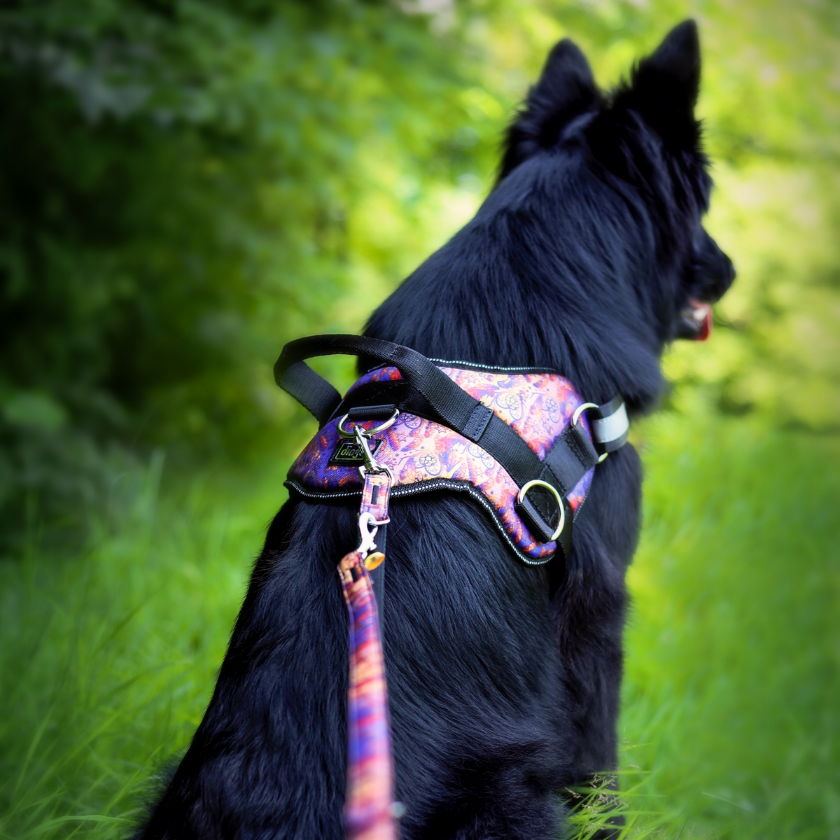 STRONG America Indiana Dog Harness
