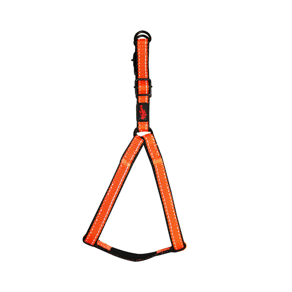 Ham Natura Reflective Basic Harness
