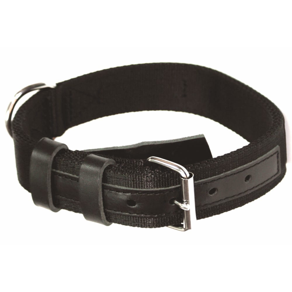 Dingo Gear CYWIL – zgardă din bandă, culoare neagră