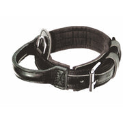 Dingo Gear – Zgardă din bandă cu mâner DRAGO, culoare neagră