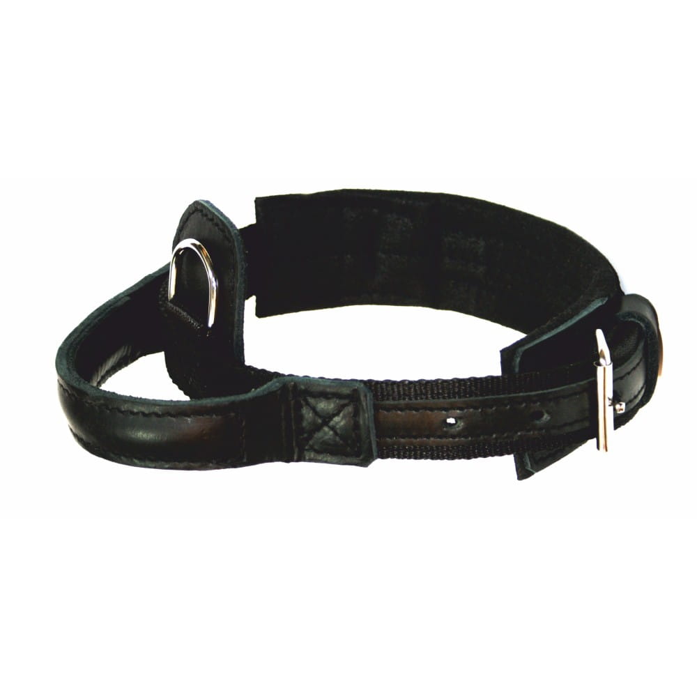 Dingo Gear – Zgardă HEROS – Din chingă de polipropilenă cu mâner