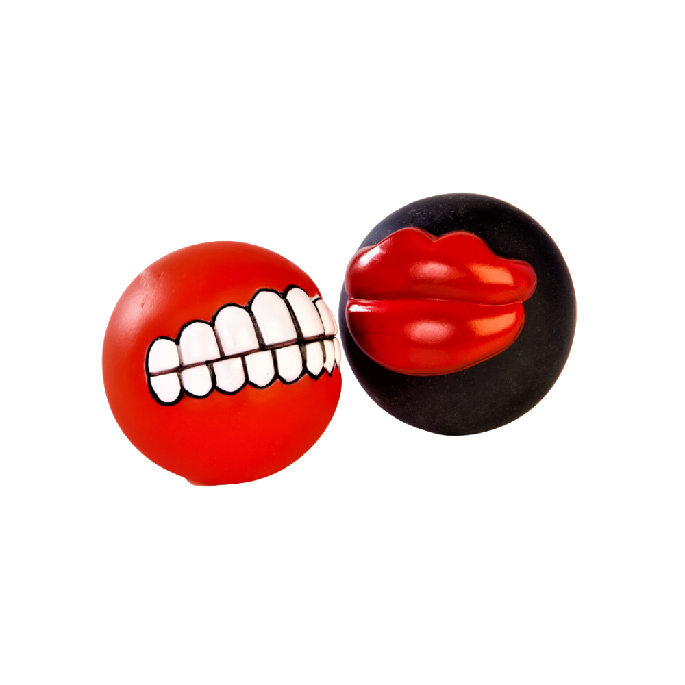 Minge pentru câine Smile