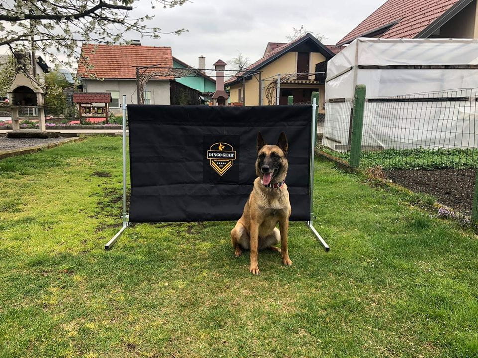 Dingo Gear – obstacol pentru dresaj canin, înălțime 100 cm × lățime 150 cm