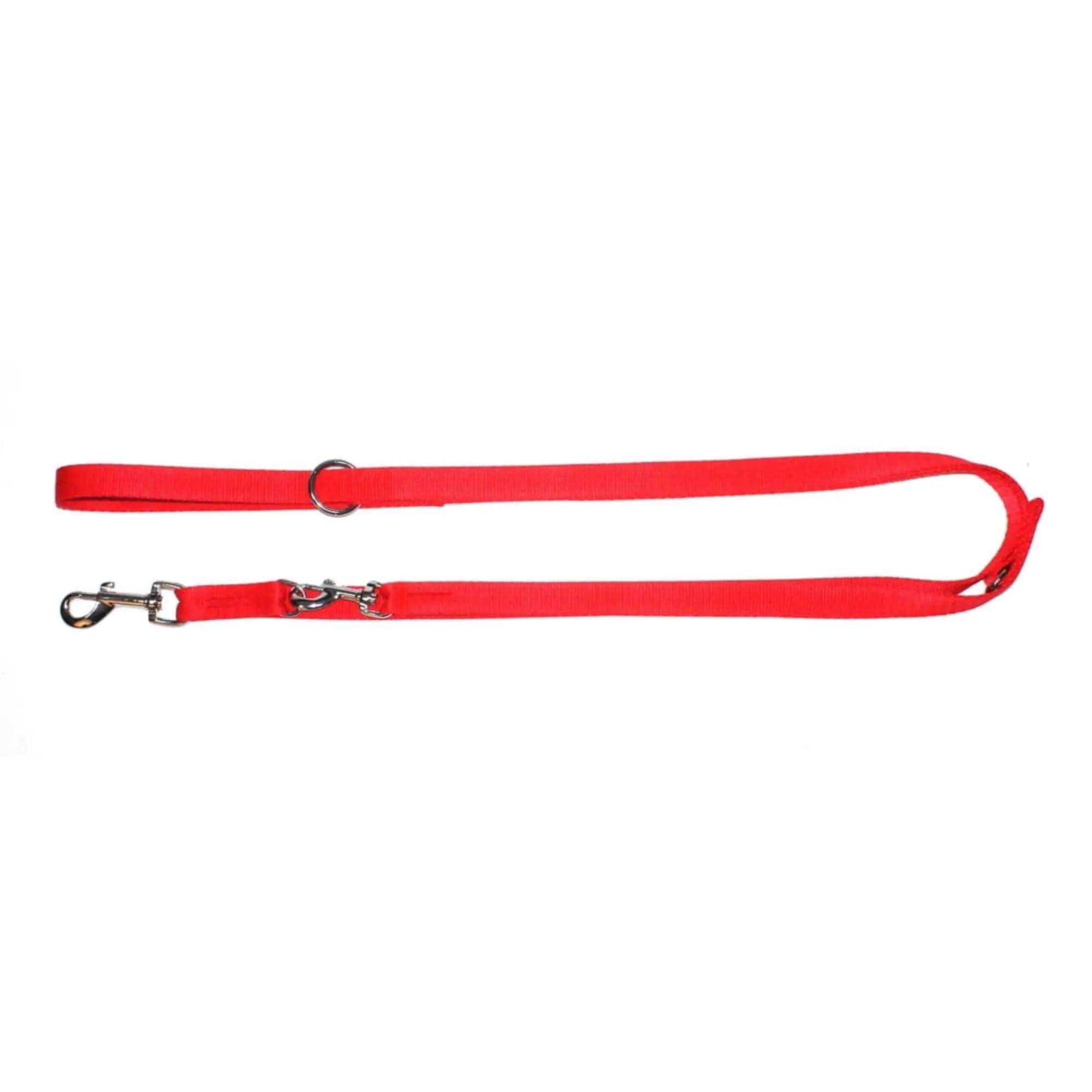 lesă extensibilă din bandă