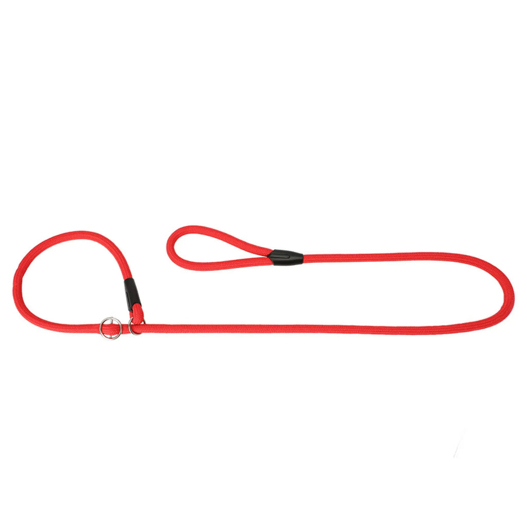 Lesă simplă pentru câini Snake