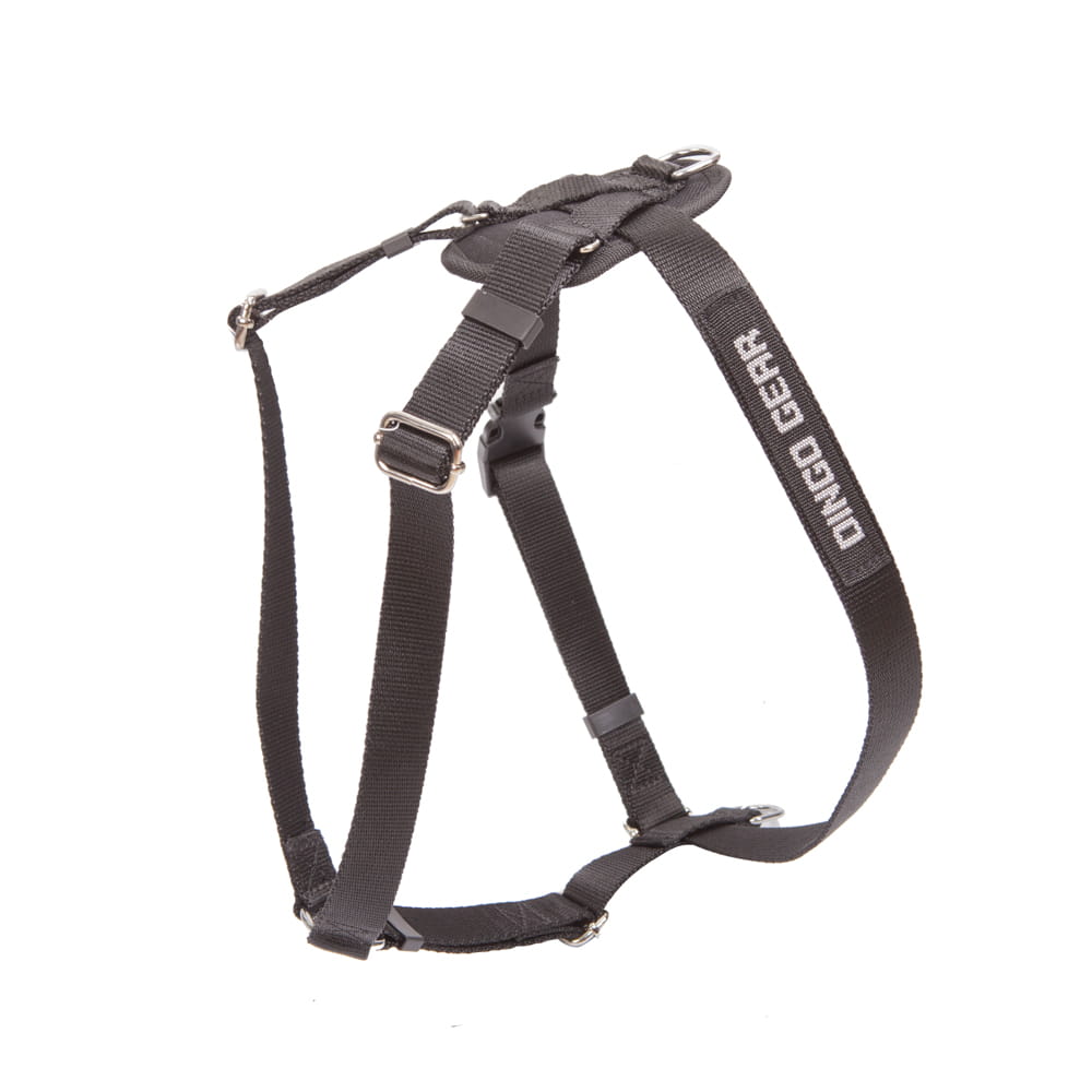 Dingo Gear WEDA – Ham de urmă pentru dresaj WEDA – model standard, ușor și rezistent
