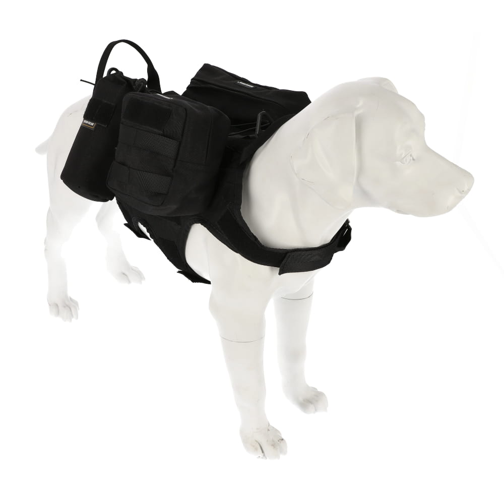Dingo Gear – taktikai hám kutyáknak MOLLE rendszerrel