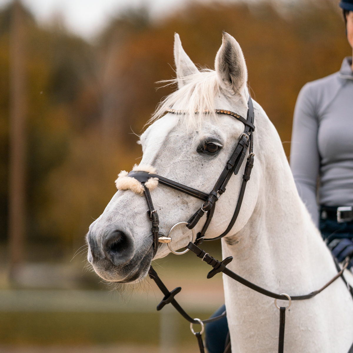 Trensă Dynamic RS cu inele mobile, cu o articulație