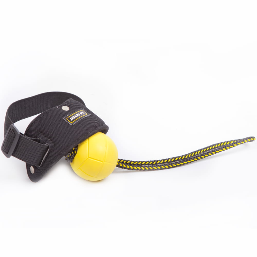 Dingo Gear – Lansator de minge pentru conductor