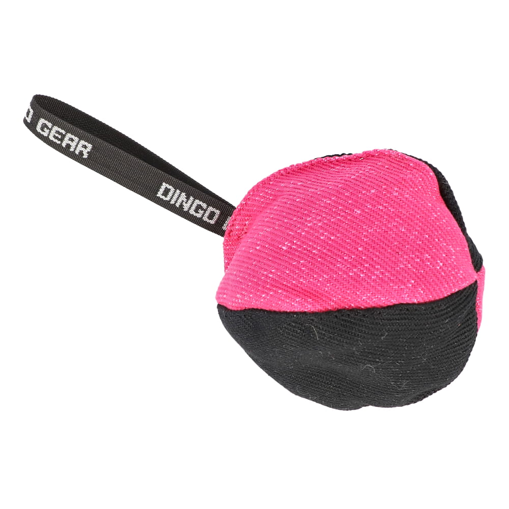 Dingo Gear – minge de antrenament din Nylcot Ø 16 cm