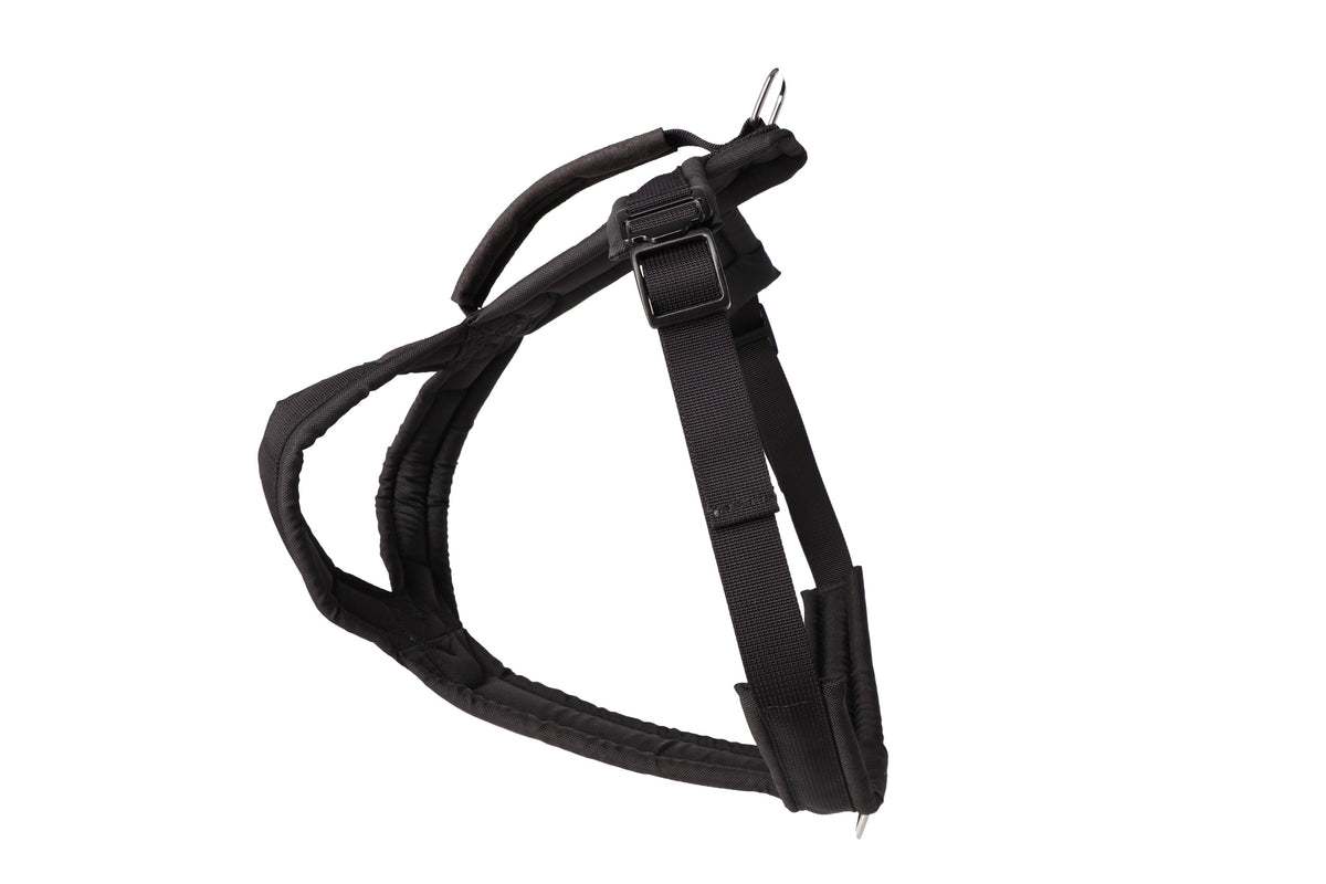 Dingo Gear – Univerzális ultrakönnyű kutyahám