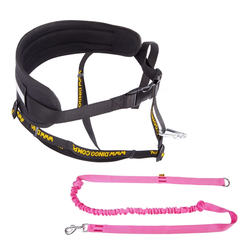 Professional Running Set – Belt + Leash