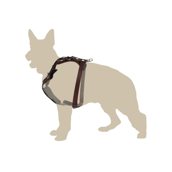 GYPSY Dog Training Harness