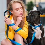 Energy Extra Standard Leash